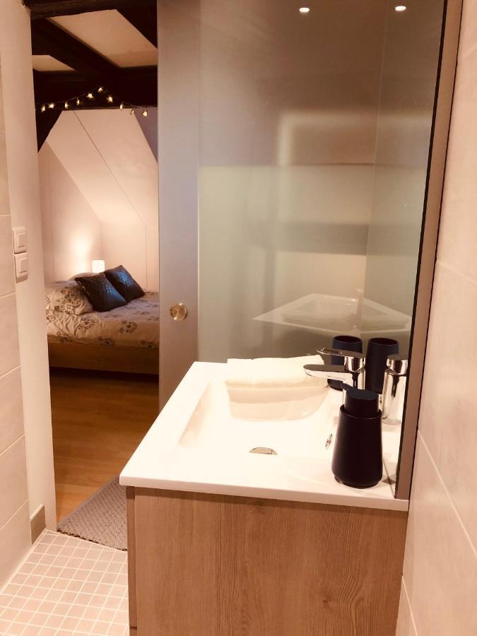 Apartamento Le Petit Colmarien Hyper-Centre Exterior foto