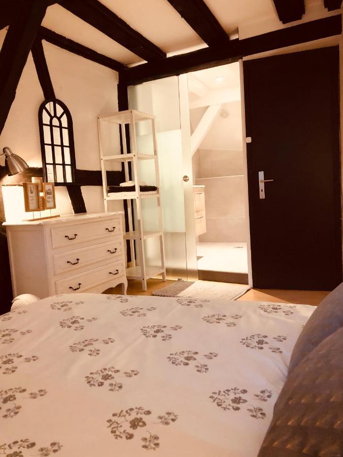Apartamento Le Petit Colmarien Hyper-Centre Exterior foto